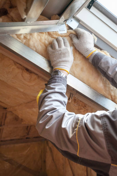 Best Commercial Insulation in La Fayette, AL